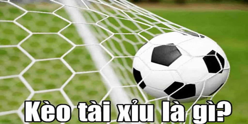 Giới thiệu về khái niệm của kèo tài xỉu QH88
