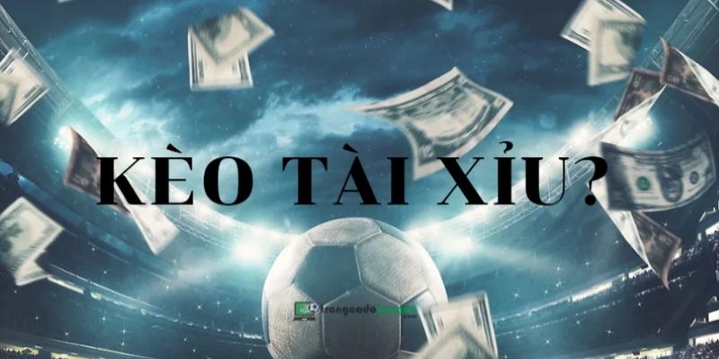 Mẹo cá cược kèo tài xỉu bất bại từ bậc thầy thể thao qh88